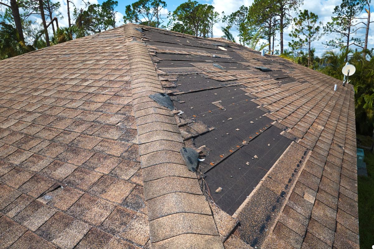 A close-up of a roof showing a damaged shingle and visible deterioration on the roof surface.